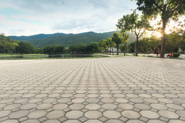 Best Interlocking Driveway Pavers  in Phillipsburg, GA